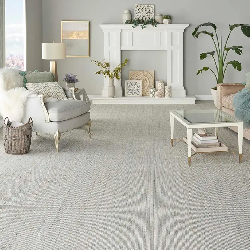 Light gray textured indoor carpet in a bright living room.