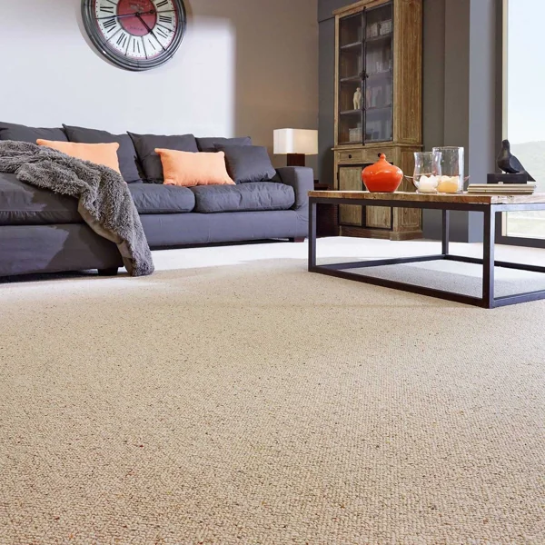 textured, light beige carpet in a modern living room